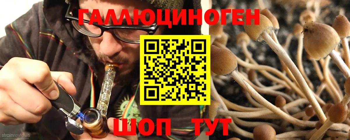 Галлюциногенные грибы ЛСД  Вход с VPN  наркошоп  Можайск  Галлюциногенные грибы мухоморы 